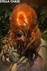 Poster de la película Stella Chase