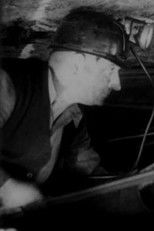 Poster de la película In the Low