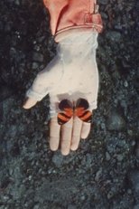 Poster de la película A Monster Called Love