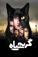 Poster de la película The Black Cat