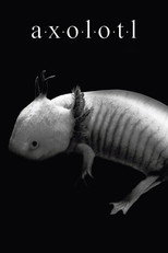 Poster de la película Axolotl