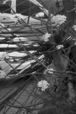 Poster de la película Só mais uma antes do Verme Eterno devorar Botafogo - Parte 2