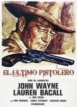 Poster de la película El último pistolero