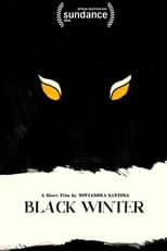Poster de la película Black Winter