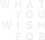 Logo What You Wish For
