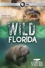 Poster de la película Wild Florida