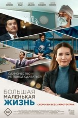Poster de la película Big Little Life