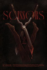Poster de la película Scissors