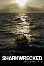 Poster de la película Sharkwrecked: Crash Landing