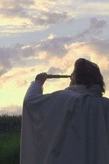 Poster de la película Els tres porquets