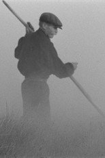 Poster de la película The Old Man and the Land