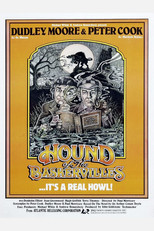 Poster de la película The Hound of the Baskervilles