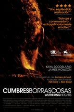 Poster de la película Cumbres borrascosas