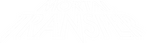 Logo Mortal Transfer