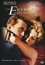 Poster de la película Un extraño en mi vida