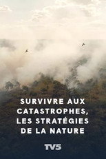 Poster de la película Survivre aux catastrophes, les stratégies de la nature