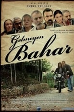 Poster de la película Gelmeyen Bahar