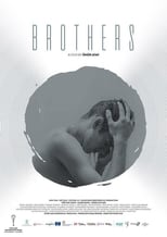 Poster de la película Brothers