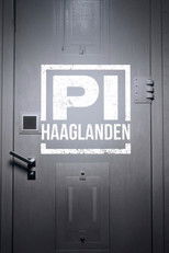 Poster de la serie P.I. Haaglanden