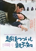 Poster de la película A Story from Echigo
