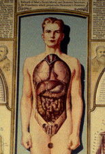 Poster de la película Natural History