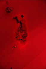 Poster de la película Roi Soleil