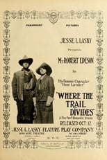 Poster de la película Where the Trail Divides