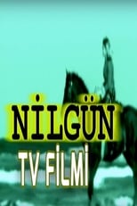 Poster de la película Nilgün