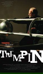 Poster de la película Trimpin: The Sound of Invention