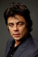 Actor Benicio del Toro