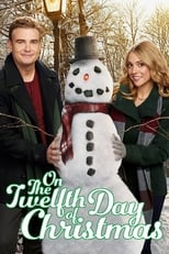 Poster de la película On the Twelfth Day of Christmas