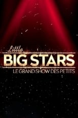 Poster de la serie Little Big Stars FR