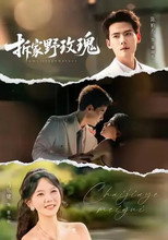 Poster de la serie 拆家野玫瑰