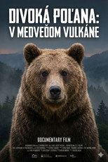 Poster de la película Divoká Poľana: V medveďom vulkáne