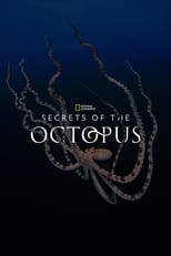 Poster de la serie Secrets of the Octopus