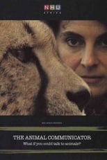 Poster de la película The Animal Communicator