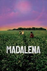 Poster de la película Madalena