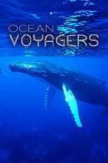 Poster de la película Ocean Voyagers