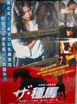Poster de la película The Stallion