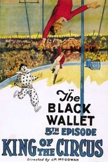 Poster de la película King of the Circus