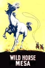 Poster de la película Wild Horse Mesa