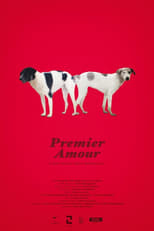 Poster de la película Premier Amour