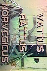 Poster de la película Vattus Rattus Norvegicus