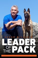 Poster de la serie Cesar Millan's Leader of the Pack