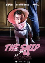 Poster de la película The Snip