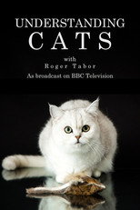 Poster de la serie Understanding Cats