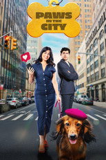 Poster de la película Paws in the City