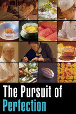 Poster de la película The Pursuit of Perfection