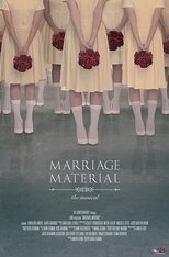 Poster de la película Marriage Material