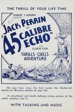 Poster de la película 45 Calibre Echo